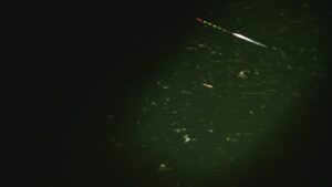 別所沼釣り映像2018.8.18.19:35