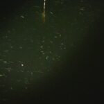 別所沼釣り映像2018.8.18.22.24