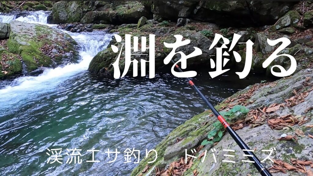 【小渓流エサ釣り 】ドバミミズで淵を釣る【ヤマメ イワナ】【2023 渓流釣り最終日①】