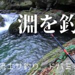 【小渓流エサ釣り 】ドバミミズで淵を釣る【ヤマメ イワナ】【2023 渓流釣り最終日①】