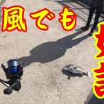 【爆風でも好調！】釣り/海釣り/かぶせ釣り/碧南海釣り公園/碧南釣り広場/温排水/衣浦湾/クロダイ/チヌ/フィッシング遊フォトカーニバル2024冬