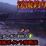 【渓流釣り解禁】激戦区！里川アマゴ放流ポイント大攻略 愛知寒狭川中部漁協2025シーズン大物釣り大会 初心者でも必釣の攻略法を紹介！【渓流ルアーフィッシング】