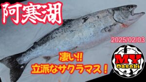 【釣り】2025年 　阿寒湖   硫黄山川側　3回目　氷上　ワカサギ釣り   サクラマス   #北海道釣り #氷上釣り #ワカサギ #道東 #サクラマス #泳がせ釣り
