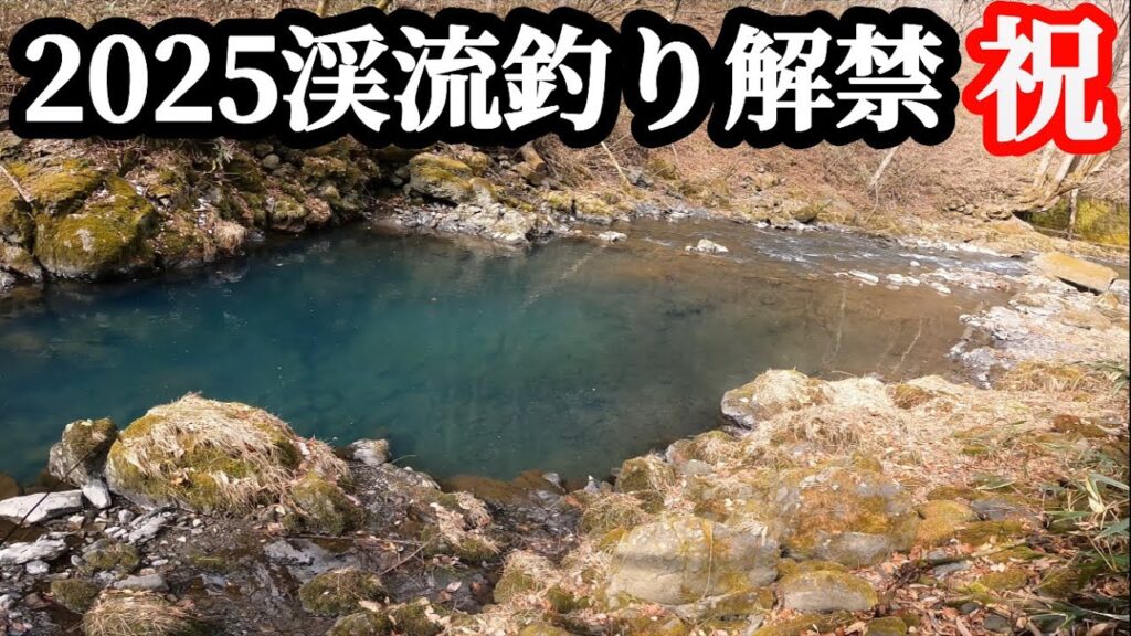 【2025渓流釣り解禁】今シーズン初釣行は大渇水でムリゲーだった！あの動画についても語ります。