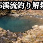 【2025渓流釣り解禁】今シーズン初釣行は大渇水でムリゲーだった！あの動画についても語ります。