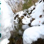 【玉ウキテンカラ釣り】2025年渓流解禁釣行