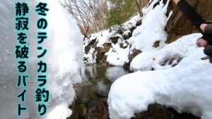 【玉ウキテンカラ釣り】2025年渓流解禁釣行