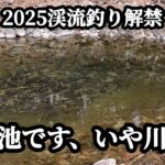 【2025渓流釣り解禁】渇水すぎて川が池になってた！