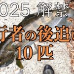 ●2025解禁日　先行者ありでも渓魚に会えた