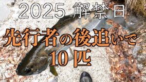●2025解禁日　先行者ありでも渓魚に会えた