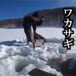 【2025岩洞湖氷上釣り】解禁直後の貪欲なワカサギを釣る   三陸つりしとがんせ　vol 86