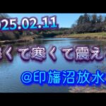 2025.02.11 @印旛沼放水路 バス釣り