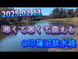 2025.02.11 @印旛沼放水路 バス釣り