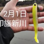 印旛沼水系　印旛新川バス釣り？2025.2.1