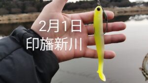 印旛沼水系 印旛新川バス釣り?2025.2.1
