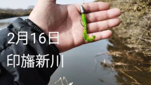 印旛沼水系　印旛新川バス釣り？2025.2.16