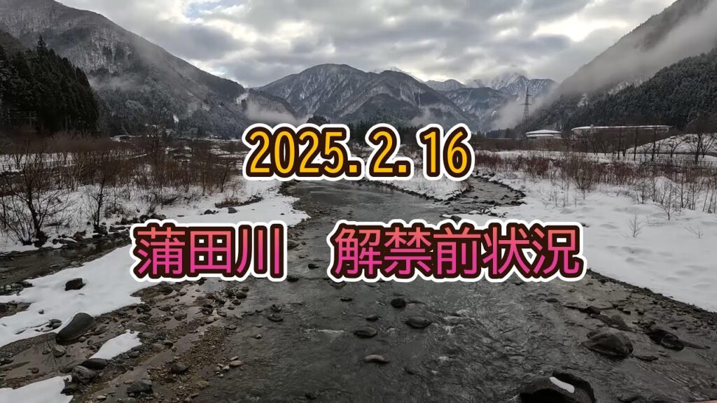 【フライフィッシング】2025.2.16 蒲田川 解禁前状況【Flyfishing】