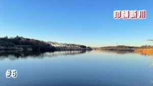 強風予想…【印旛新川(印旛沼水系)】 ヘラブナチャレンジ 2025.2.9