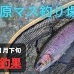 最新！北田原マス釣り場 202501下旬 フライフィッシング