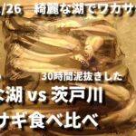 2025/01/26　綺麗な湖でワカサギ釣り　ワカサギ食べ比べ　綺麗な湖 vs 茨戸川