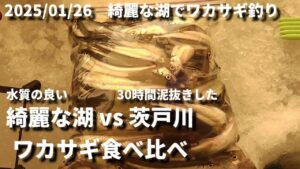 2025/01/26 綺麗な湖でワカサギ釣り ワカサギ食べ比べ 綺麗な湖 vs 茨戸川