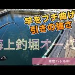 【海上釣堀オーパ】2025年1月25日親父単独釣行☺️