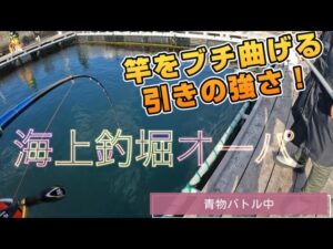 【海上釣堀オーパ】2025年1月25日親父単独釣行☺️
