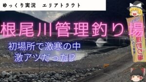 【ゆっくり実況】【根尾川管理釣り場】2025年1月30日岐阜県揖斐川町谷汲にある根尾川管理釣り場でのゆっくり実況です。