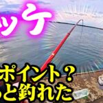 【釣り】北海道・ホッケ・日本海・サビキ・磯竿・マイナーポイント？：2025年2月