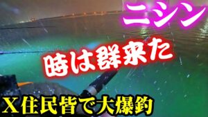 【釣り】北海道ニシン群来直撃・港内みんなで大爆釣:2025年2月