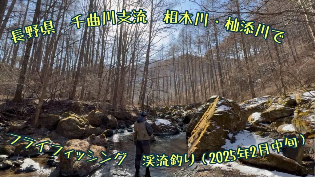 長野県　千曲川支流　相木川・杣添川でフライフィッシング　渓流釣り（2025年2月中旬）