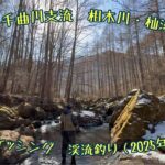 長野県　千曲川支流　相木川・杣添川でフライフィッシング　渓流釣り（2025年2月中旬）