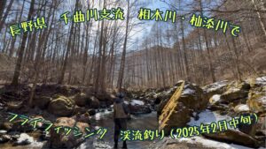 長野県 千曲川支流 相木川・杣添川でフライフィッシング 渓流釣り(2025年2月中旬)