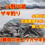 2025年2月1日　小野川湖　氷上テントでワカサギ釣り　体力が尽きる前にワカザギが居る場所を探せ