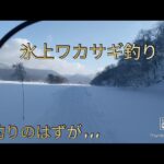 2025年2月1日氷上ワカサギ初釣り#桧原湖#小野川湖#秋元湖#裏磐梯#わかさぎ