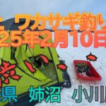 ワカサギ釣り　氷上　小川原湖　姉沼　2025年2月10日　渋かった。
