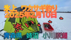 ワカサギ釣り　氷上　小川原湖　姉沼　2025年2月10日　渋かった。
