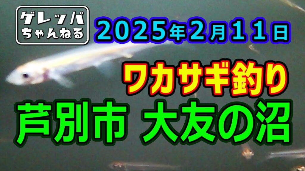 2025年2月11日  芦別市  大友の沼  ワカサギ釣り【あんぐらあ自己中心派 #41】