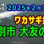 2025年2月11日  芦別市  大友の沼  ワカサギ釣り【あんぐらあ自己中心派 #41】