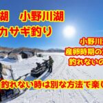 2025年2月15日　小野川湖　氷上テントでワカザギ釣り　産卵時期の満月のピーカンで完全に喰い渋り状態に！