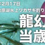 2025年2月17日裏磐梯桧原湖氷上ワカサギ釣り【当歳魚攻略】【疾風】【威龍】【龍幻】