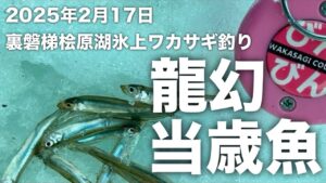 2025年2月17日裏磐梯桧原湖氷上ワカサギ釣り【当歳魚攻略】【疾風】【威龍】【龍幻】