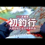 【渓流釣り】下伊那漁協2025年渓流解禁～入渓30分で泣き尺イワナを釣る。　＃渓流釣り　＃渓流解禁　＃下伊那　＃天竜川水系