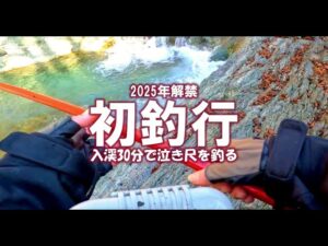 【渓流釣り】下伊那漁協2025年渓流解禁~入渓30分で泣き尺イワナを釣る。 #渓流釣り #渓流解禁 #下伊那 #天竜川水系