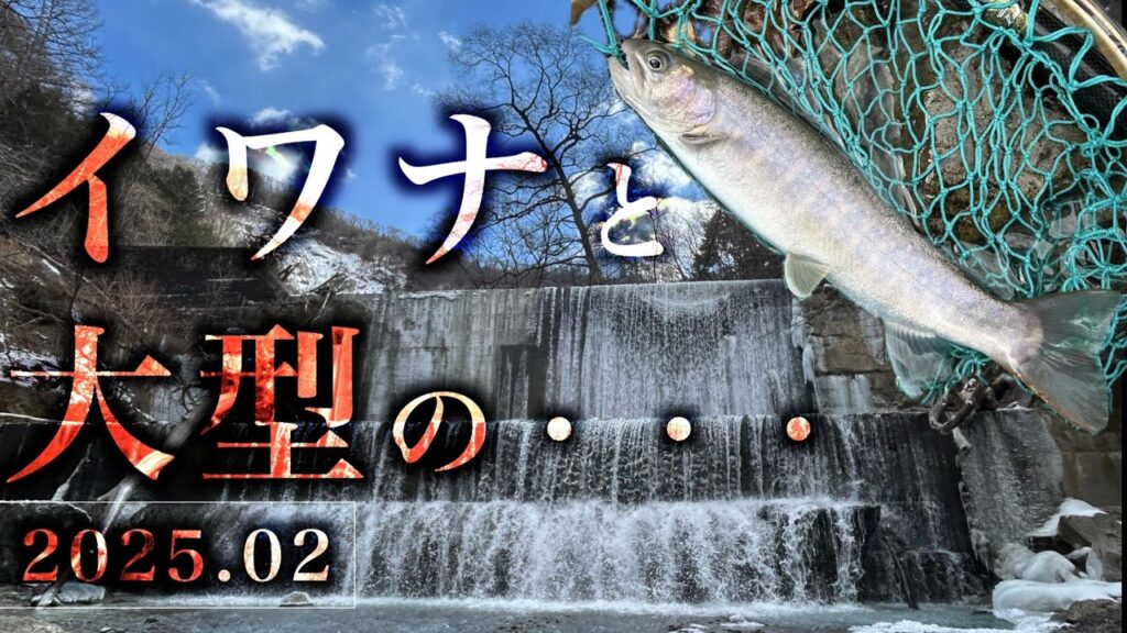 ●イワナと大型ゲット　2025解禁数日後の短時間釣行　４K
