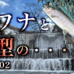 ●イワナと大型ゲット　2025解禁数日後の短時間釣行　４K
