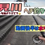 [2月16日]鶴見川ヘチ釣り他／後半は水中映像