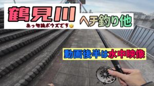 [2月16日]鶴見川ヘチ釣り他／後半は水中映像