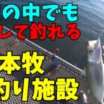 【ゆっくり釣行動画】25/2/8　最強最長寒波襲来でも魚が釣れる場所でアジサバを狙う！