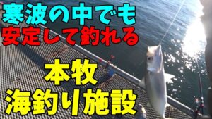 【ゆっくり釣行動画】25/2/8　最強最長寒波襲来でも魚が釣れる場所でアジサバを狙う！